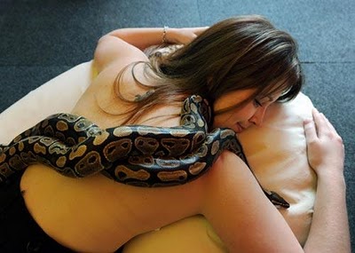 பாம்பு மசாஜ்  Snake+Massage+%284%29