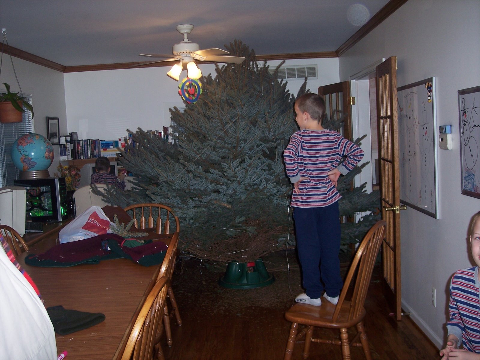 [tree2.JPG]