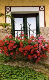 Ventana con geraneos