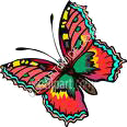 [butterfly+copy.png]