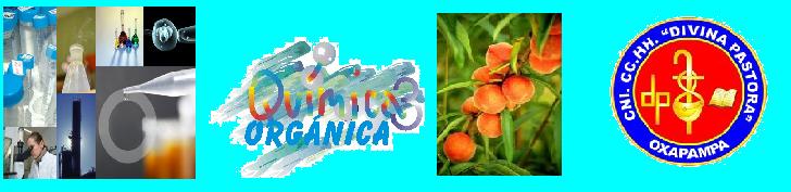 FUNCIONES  QUIMICAS  ORGANICAS