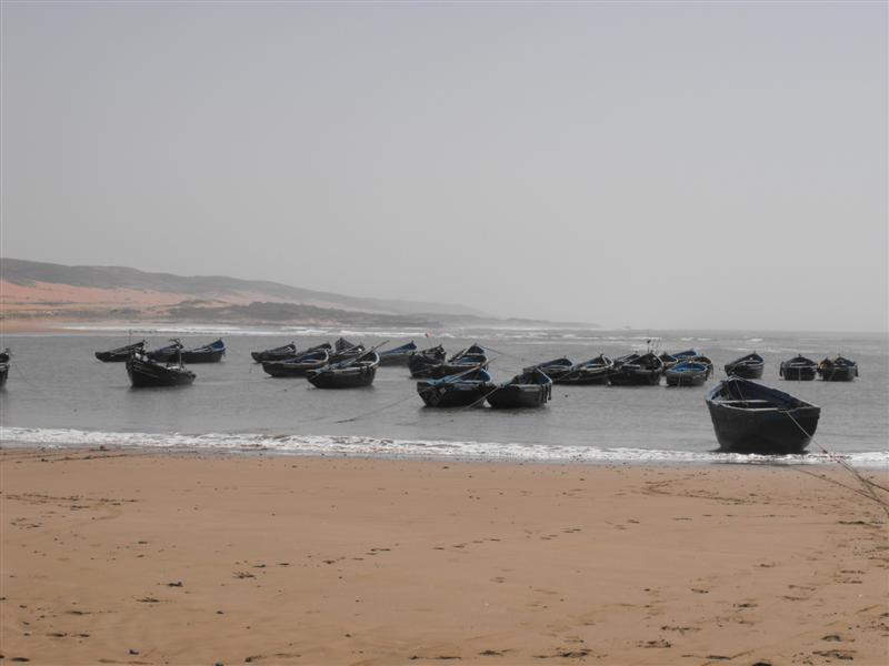 [DSCF0392+(Medium).JPG]