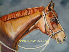 Equine and Pet Portraits