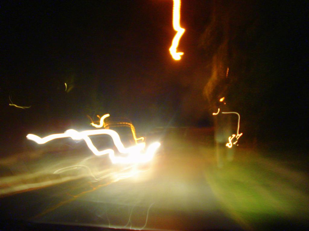 [DSC09291+(Large).JPG]