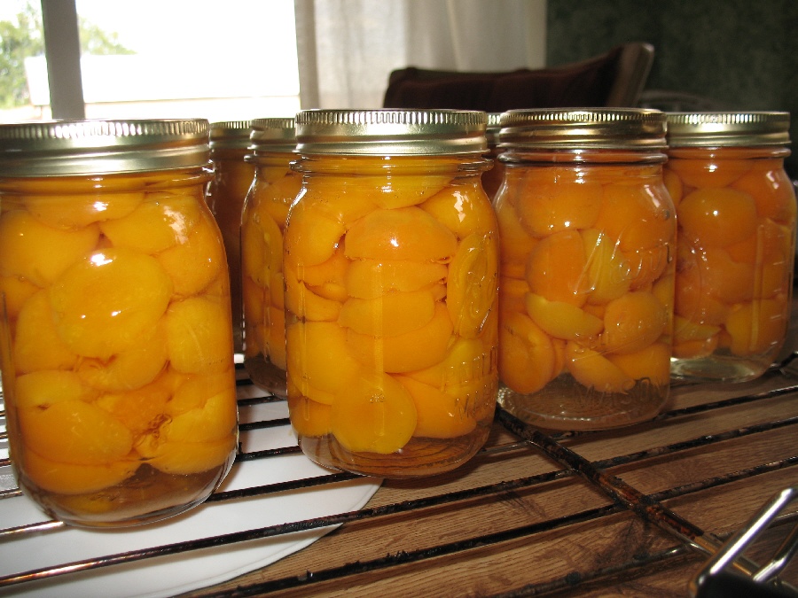 Canning or Bottling Apricots
