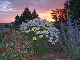 Sunrise in Parker