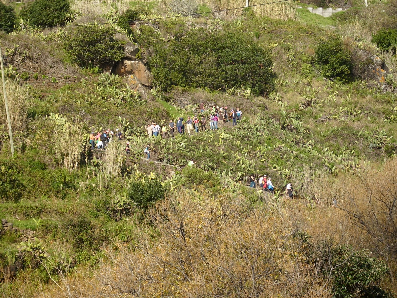 [IMG_0252.JPG]