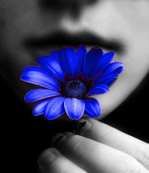 http://2.bp.blogspot.com/_l-m2YgWMKlU/SZrwzDvxX6I/AAAAAAAABHY/l-st_BWiOdI/s400/blue_flower.jpg