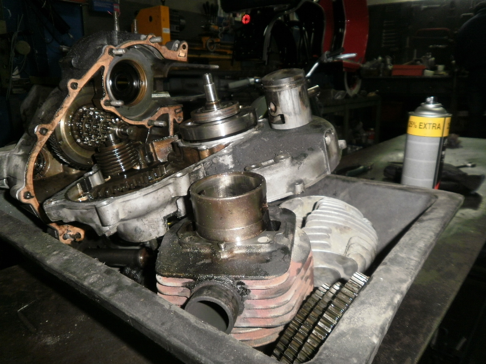 [P1290040.JPG]