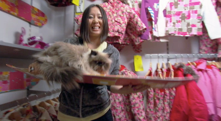 101 animal planet episodes