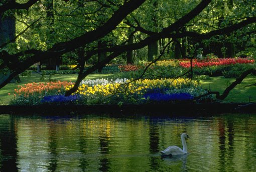 malayalam nostalgic songs