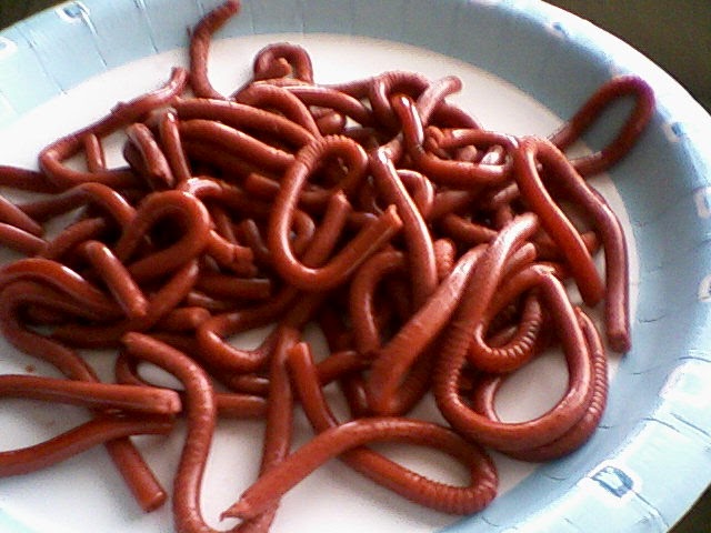 download big blood worms download big blood worms