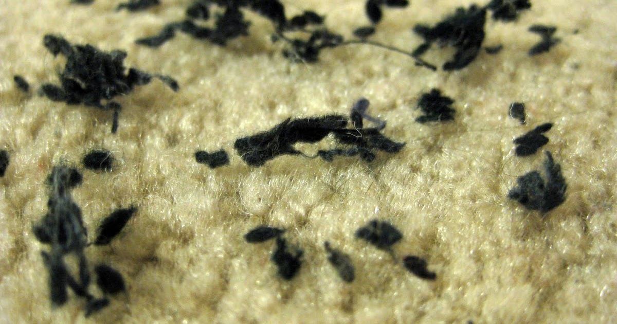 A Police Wife The Mysterious Fuzz Balls