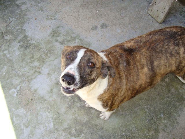 [DSC02488.JPG]