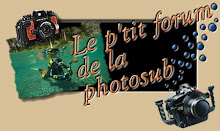 Le p'tit forum de la photosub