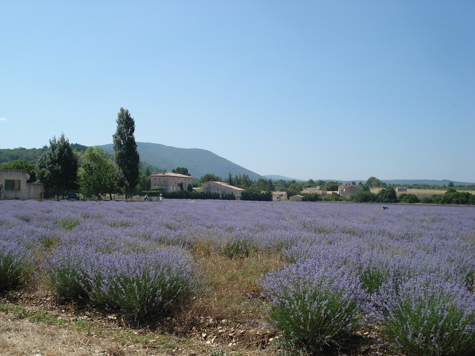 [DSC06946.JPG]
