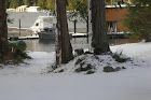 Winter wonderland-Jan 12, 2011