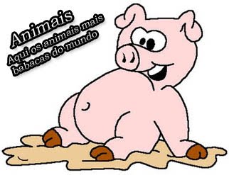 Clique na imagem para ir a tag:  Animais
