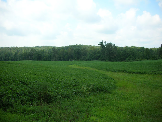 Willis Hickman Southard's farm in 2009