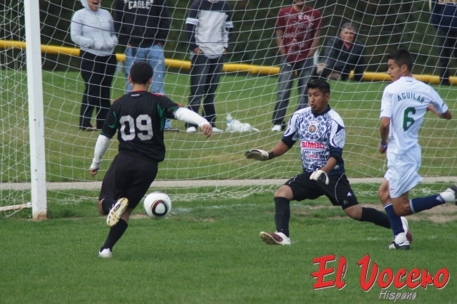 fusbal liv fusbal liv