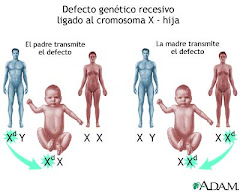 Malformaciones geneticas