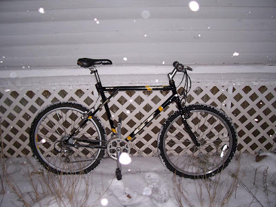 gt palomar 1999