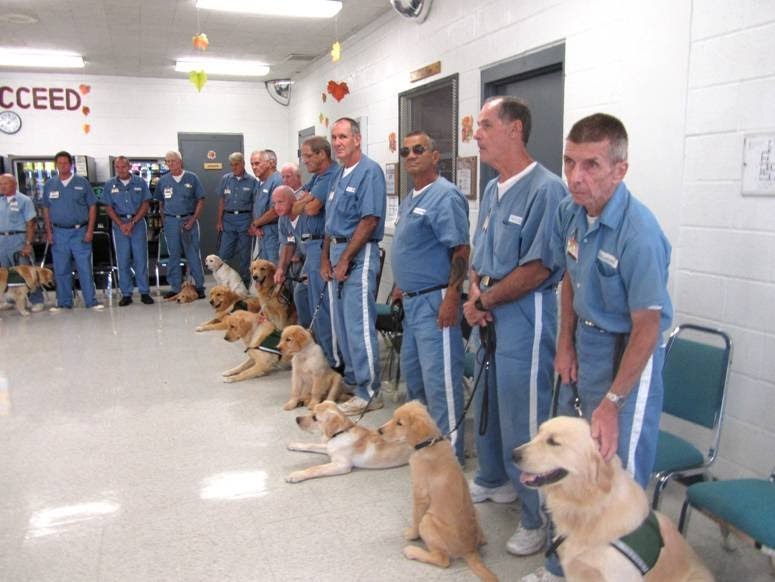 PRISON DOG PROGRAMS BRIDGES and PATHWAYS of COURAGE Miami Prison Dog