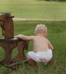 White "Giddy Up" Baby Boxer shorts with mock fly 0-18 mths $15
