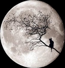 Celebrate the Full Moon