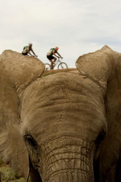 Cape Epic '07