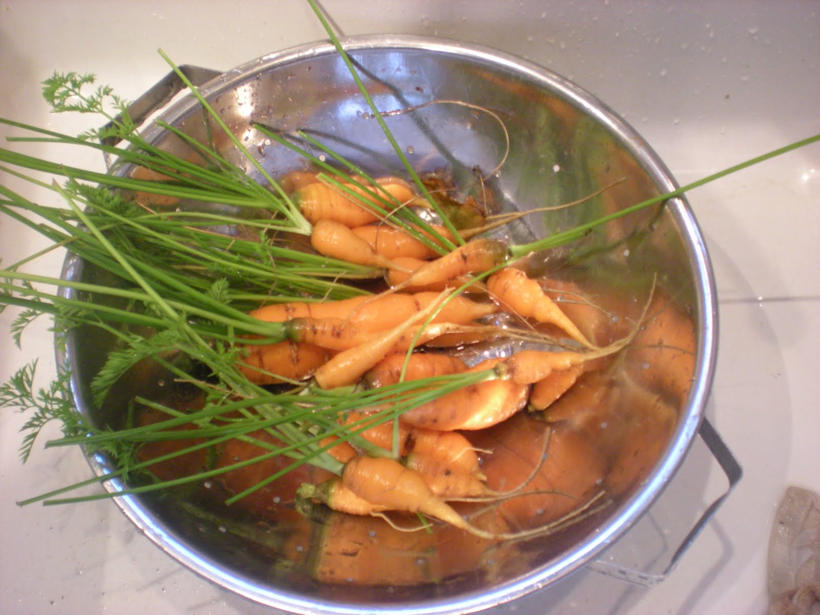 [DSCN1798.JPG]