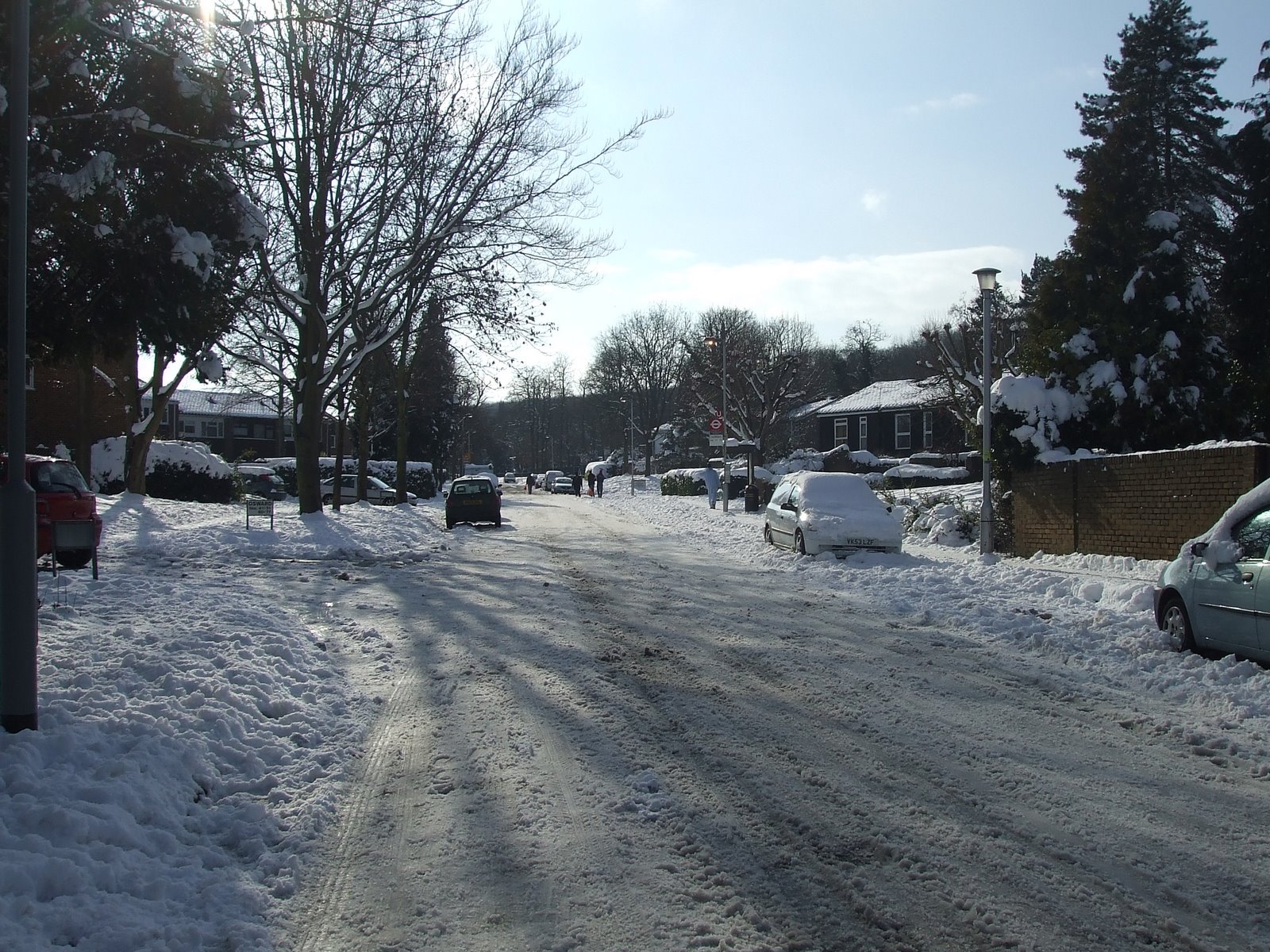 [DSCF3510.JPG]
