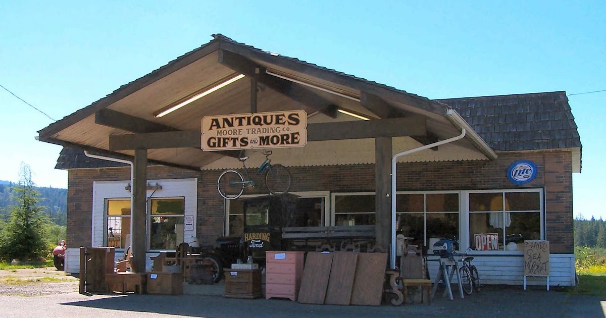 Forks and the West End, Olympic Peninsula, Washington, US Beaver