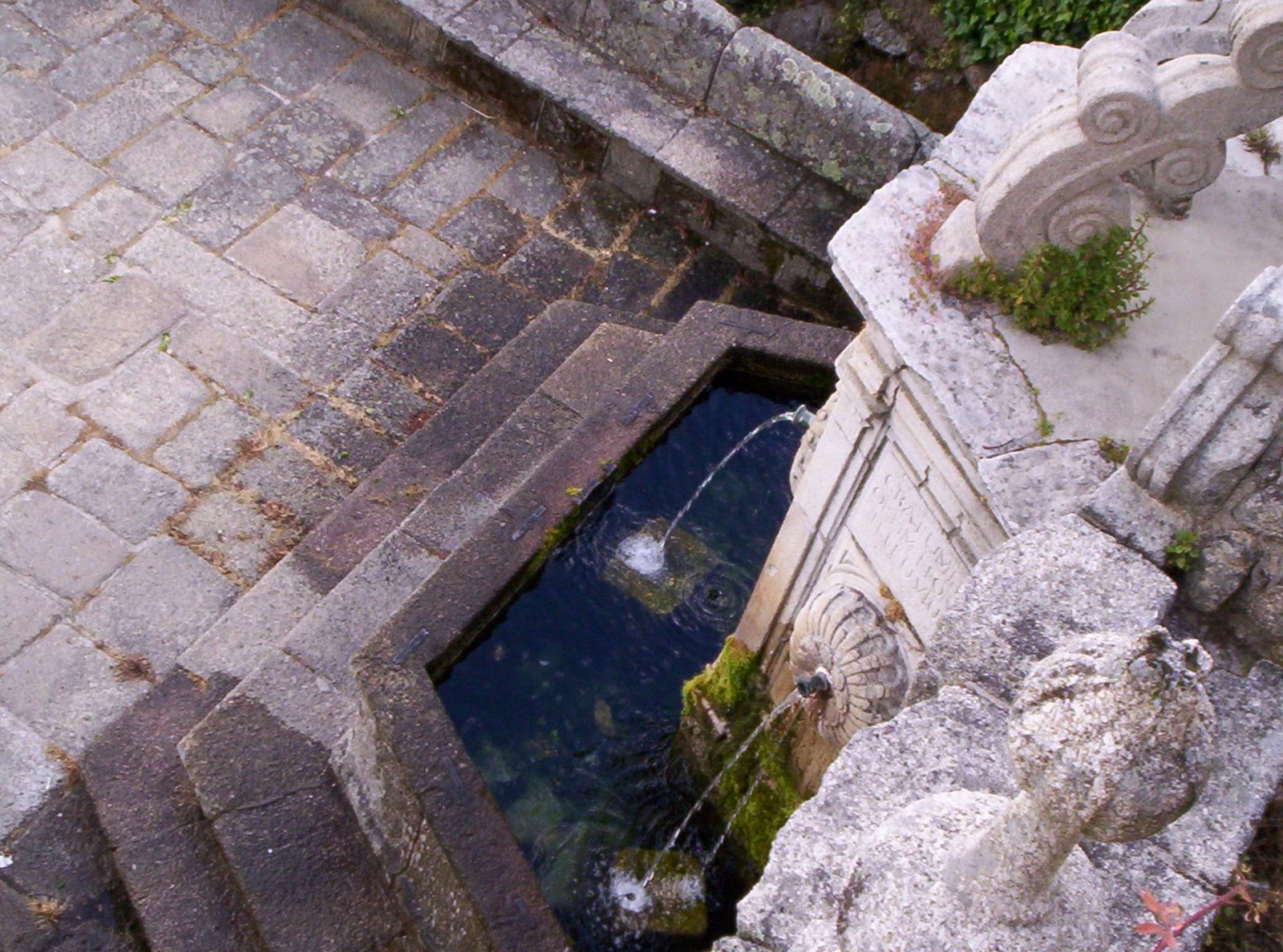 [Primavera+2008+321.jpg]