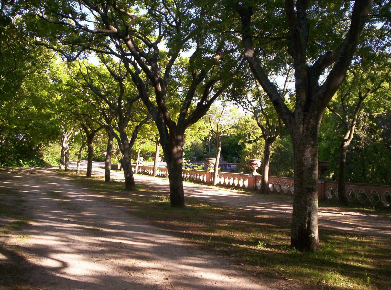 [tapadamaio09+096.JPG]