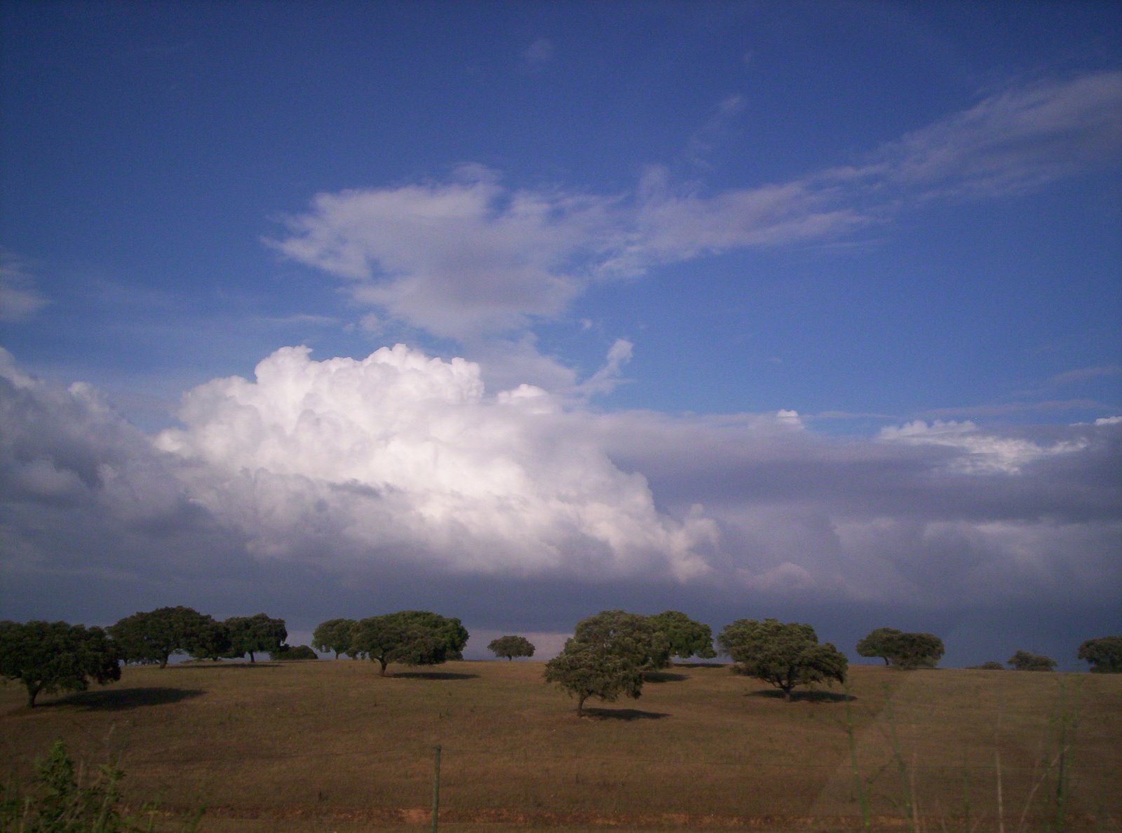 [festivalislamico_2009+237.JPG]