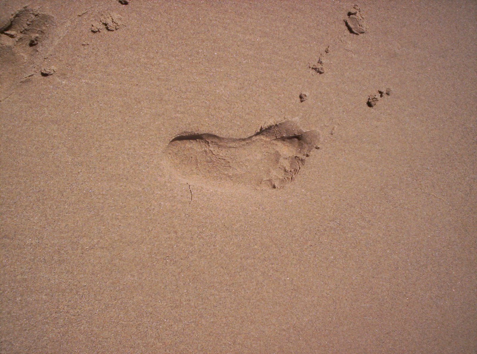 [odeceixe_junho09+110.JPG]