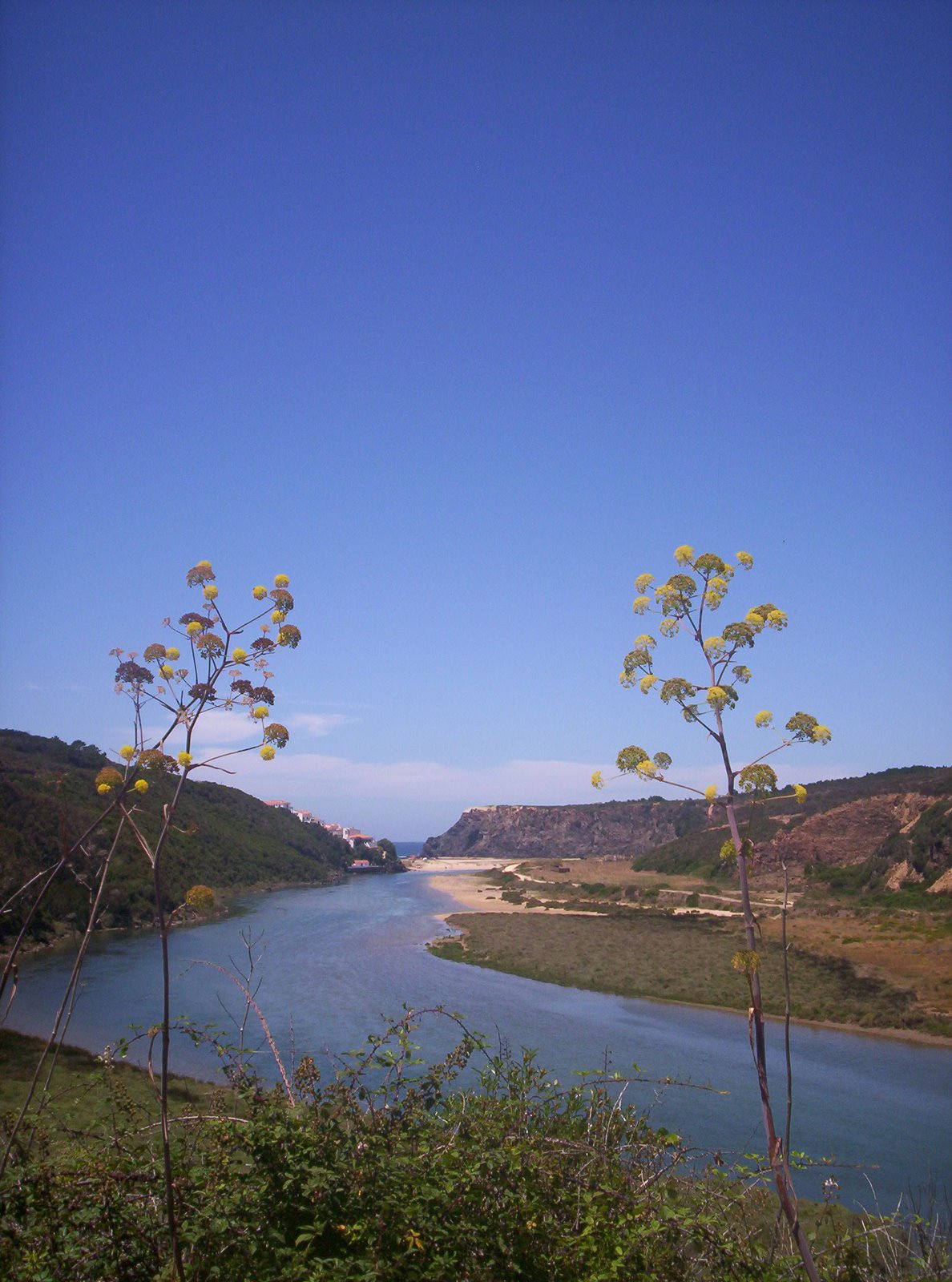 [odeceixe_junho09+090.JPG]