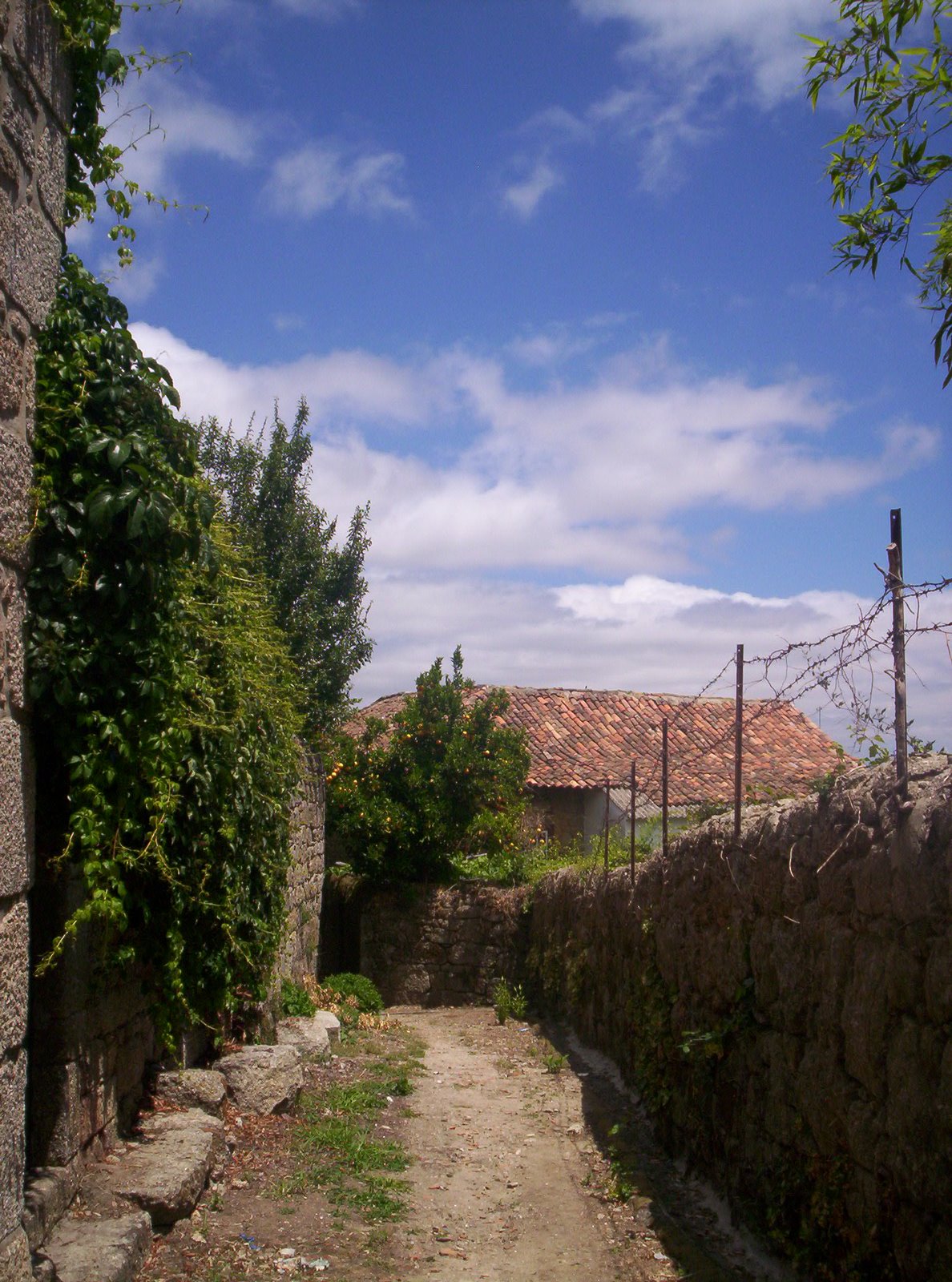 [alpedrinha_6_09+074.JPG]