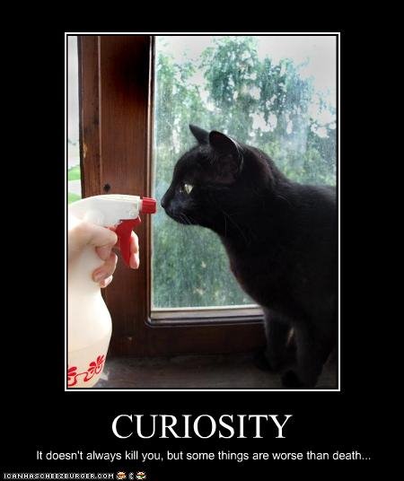 [CURIOSITY.bmp]