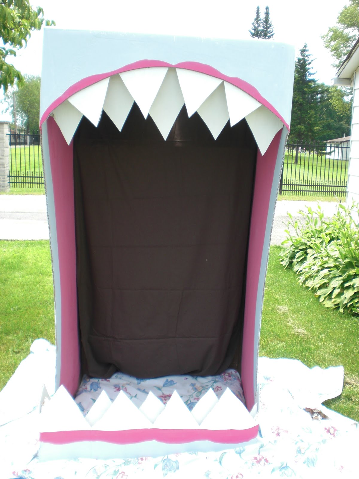 The Blue Door Studio Shark