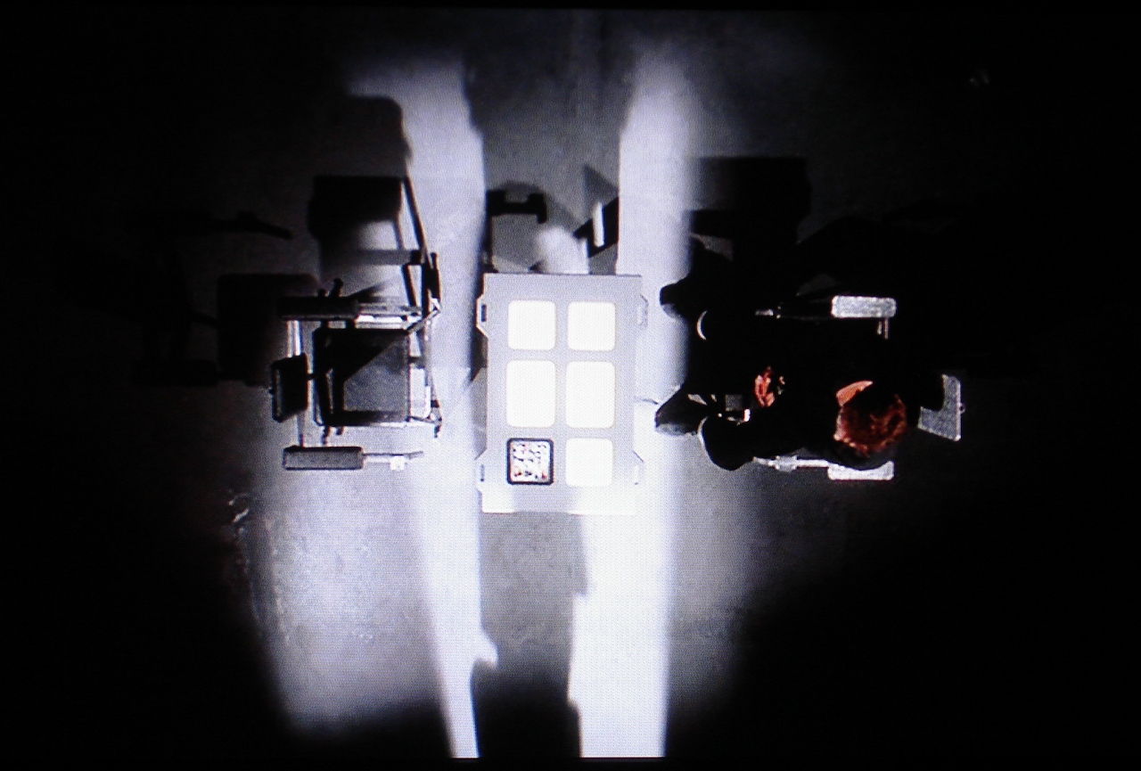 [reprogramming2.JPG]