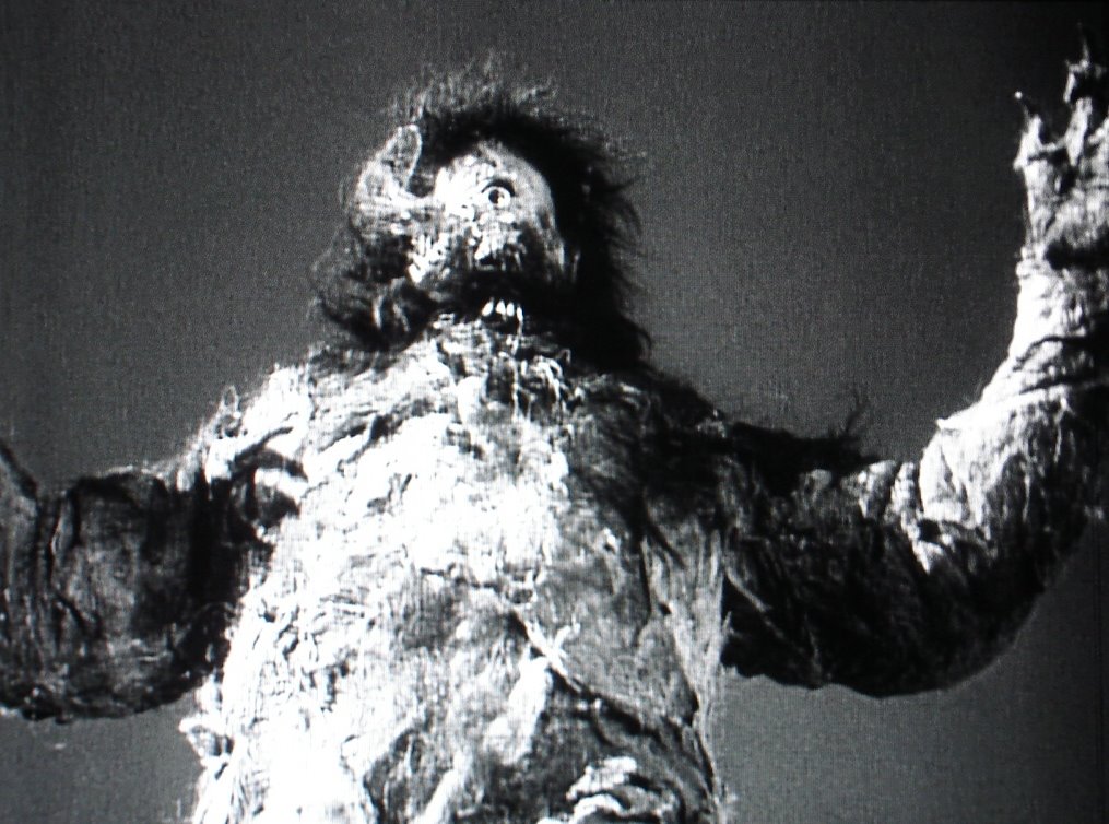 [cyclops+monster+2.JPG]