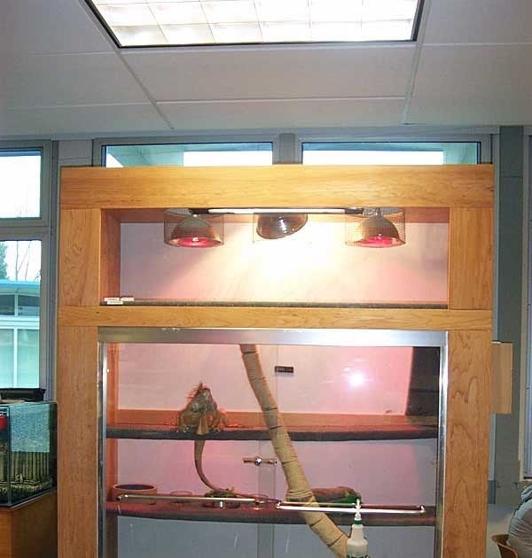 PET SUPPLIES: Build Iguana Cage