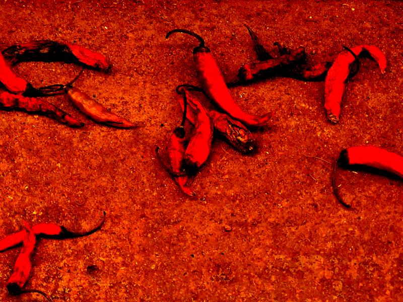 [chilli.JPG]