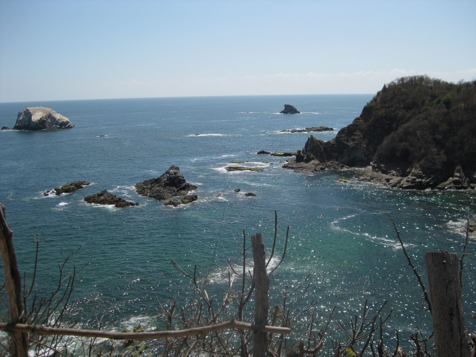 [IMG_0806.JPG]