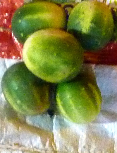 My Maharashtra Diwali Abhyanga Snan Materials And Procedure