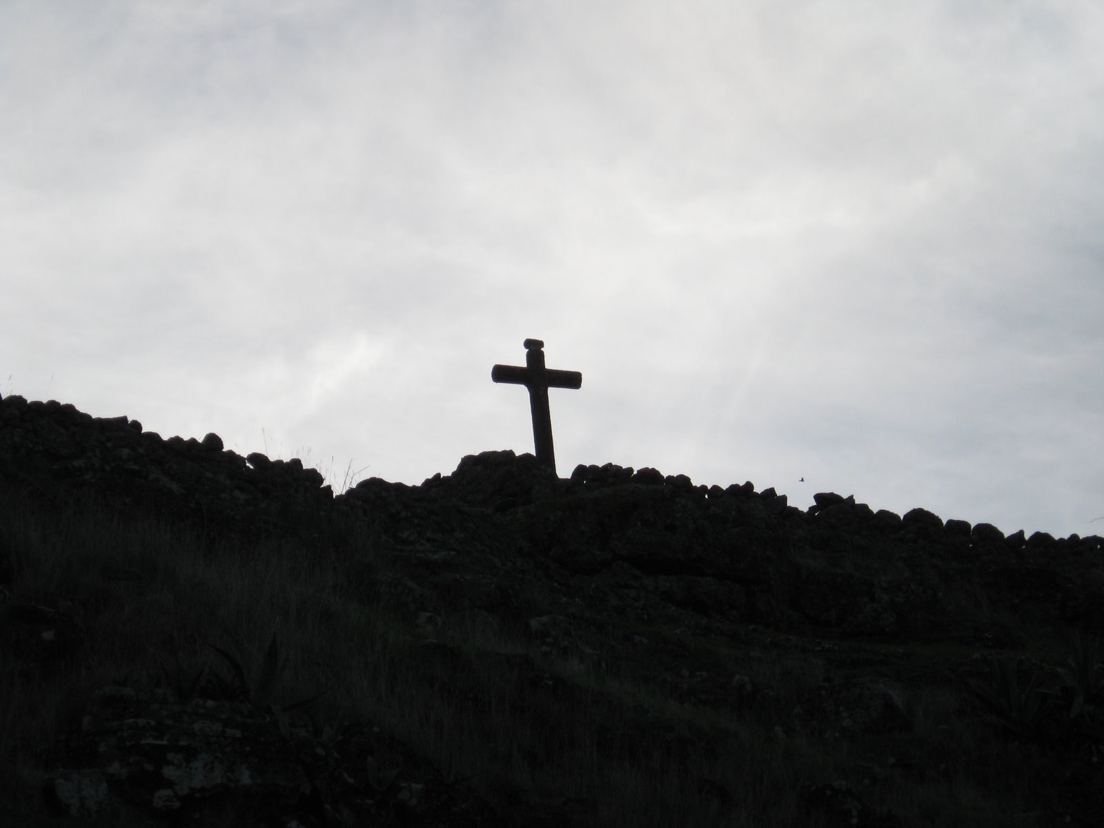 [3.01.09+024.jpg]