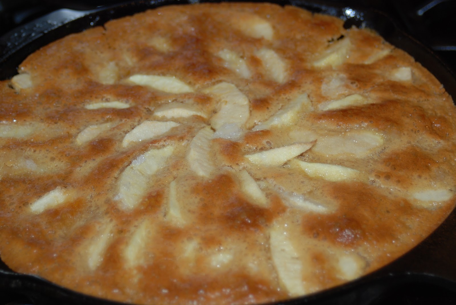 along the trail Sour Dough Apple Cake