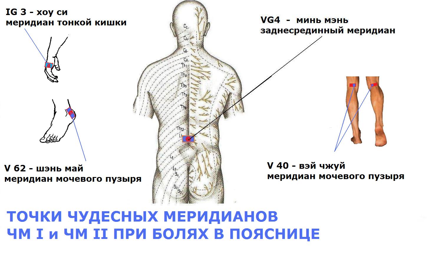 Чего делать при болях в пояснице в домашних условиях Чего делать при болях в пояснице в домашних условиях